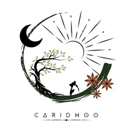 caridhoo.fr